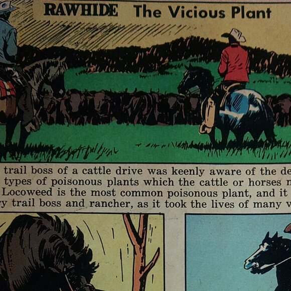 Rare Vintage "Rawhide" Comic Published in June of 1962 - Picture 6 of 6